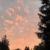 abbyscloset777